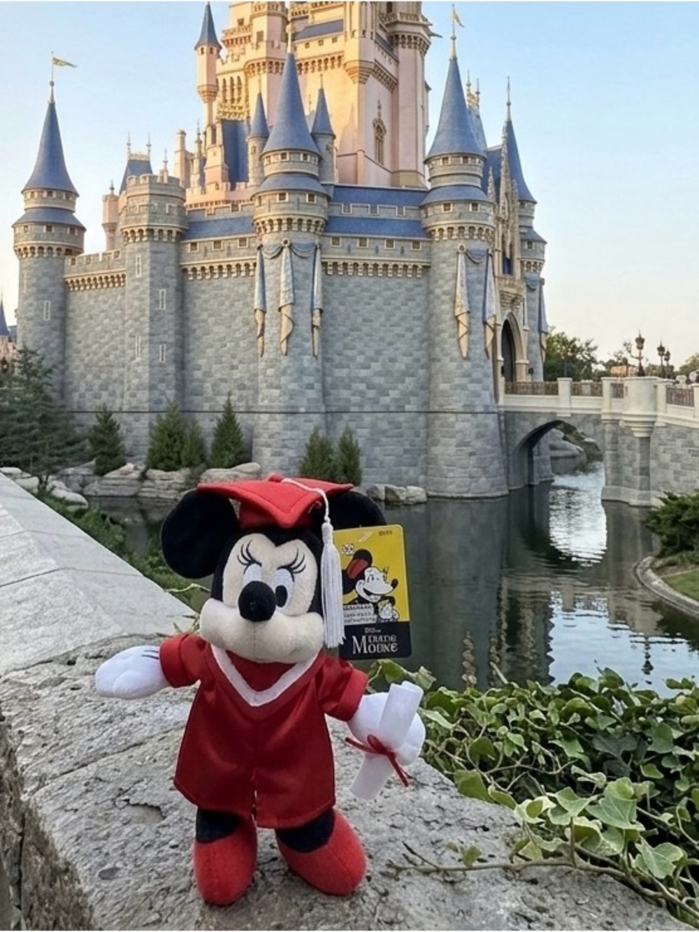 Disney Minnie Mouse Graduation Plush 9" Red Cap Gown Diploma Toy NWT